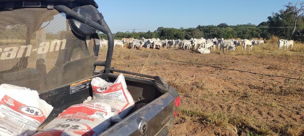 WhatsApp Image 2022-03-22 at 15.16.23 (2).jpeg